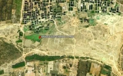 thumbs_environment-4